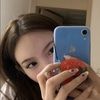 dino_462